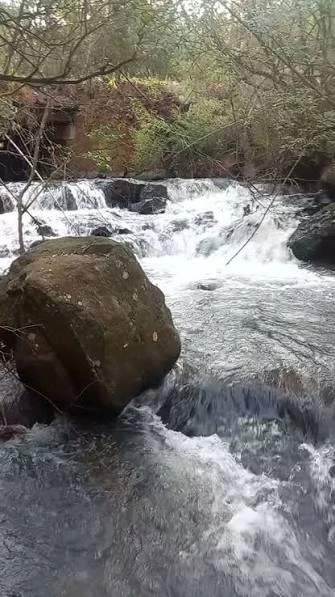 Cascada oculta entre la densa selva misionera