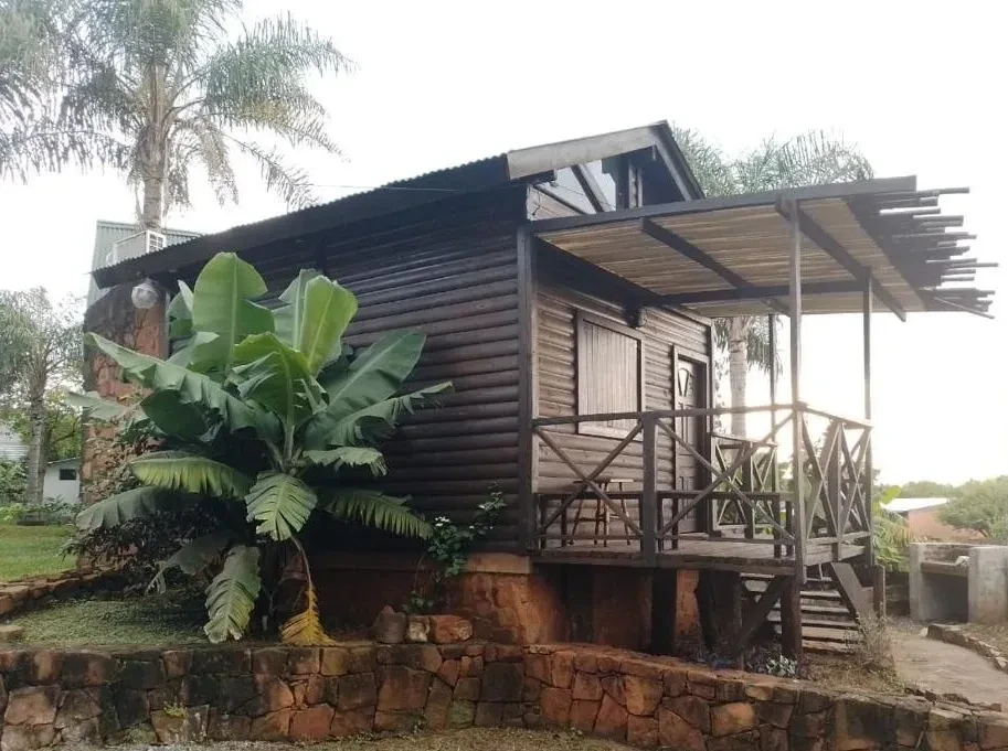 Sendero entre la selva con luz filtrándose entre los árboles