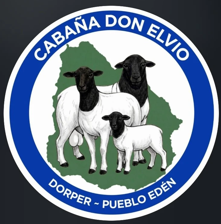 CABAÑA DON ELVIO