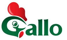 Alquiler de juegos inflables y toro mecanico para cumpleaños y festejos en casa Rosario y localidades.