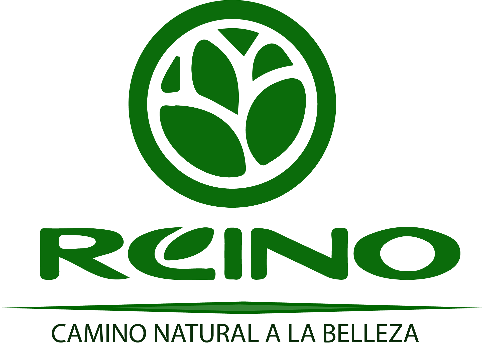 reinopatagonia