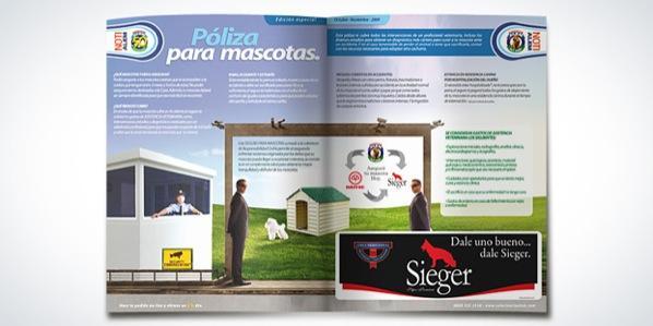lanzamiento Promo "Seguro mascotas" - Newsletter