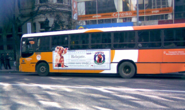 lanzamiento Promo "Supermascotas" - buses