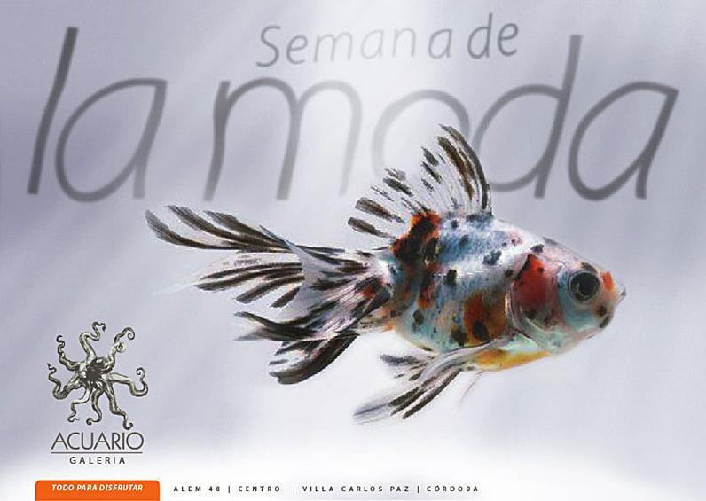 lanzamiento "Semana de la moda"