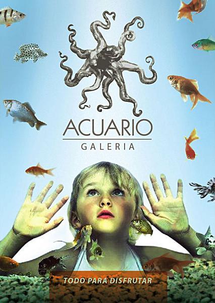 lanzamiento - branding